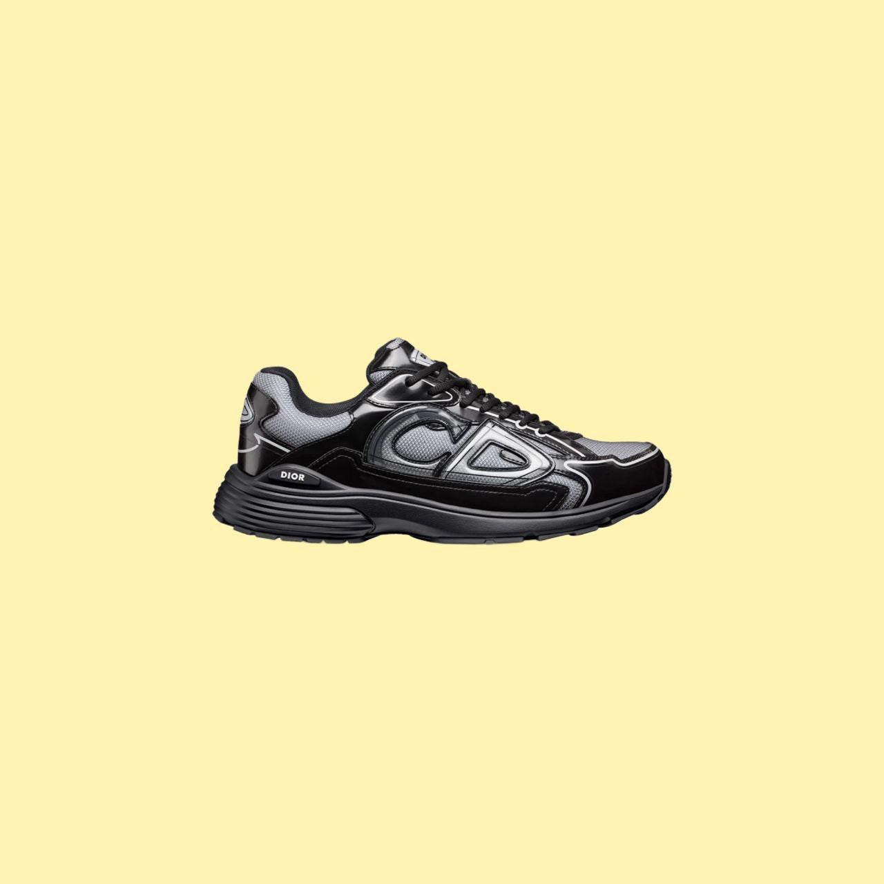 Chaussure Dior B30